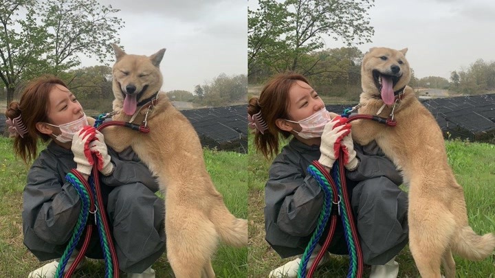 【中字】尹普美公益活动 个人捐赠1.5吨饲料 流浪狗保护所里普美和狗狗的一天~