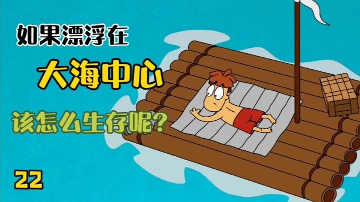 如果漂浮在大海中心，该怎么生存呢？阿诺用木筏挑战大海！！