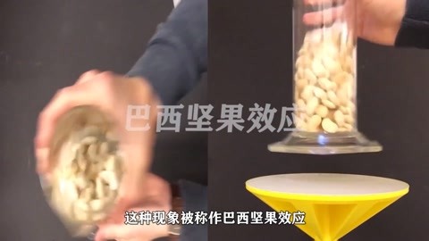 神奇的巴西坚果效应,颗粒大的坚果,为什么总会浮在表面