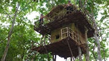 原始技术，两兄弟野外建造树屋，还分上下两层