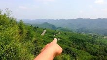 重庆梁平县百里竹海，满山全是翠竹，太美了