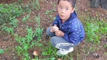 小田在加格达奇采蘑菇