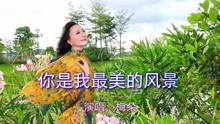 [图]梅朵一首DJ情歌《你是我最美的风景》好听极了！