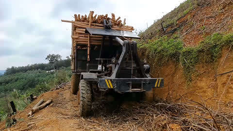 小伙开拖拉机帮老板拉木头,500块一车还要过陡坡,真佩服这技术