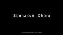 深度深圳-全球首映！ Shenzhen In Depth - Global premiere!