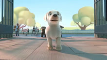 动画短片《Pip》，讲述一只小狗努力想成为合格导盲犬的励志故事