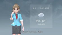 重庆市2021年1月29日天气预报