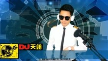 [图]抖碟14首·中文高清DJ舞曲《网络流行热播》，一抖成仙车载嗨碟！