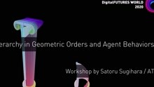 Hierarchy in Geometric Orders and Agent Behaviors Workshop Final Works