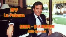 [图]欧美金曲：胡里奥演唱的《鸽子La Paloma》，经典老歌，好听醉了