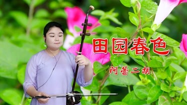 阿蕾二胡演奏《田园春色》d调15弦,经典二胡名曲,演奏的真不错