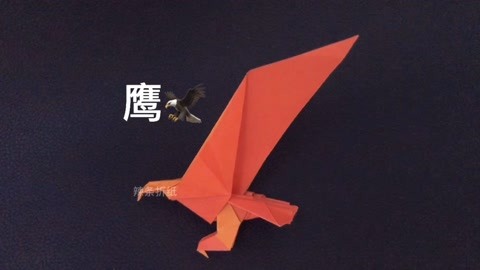 老鹰折纸步骤图图片