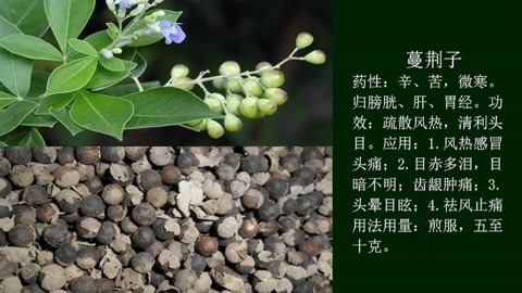 荆子的功效与作用图片图片