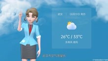武汉市2021年8月19日天气预报