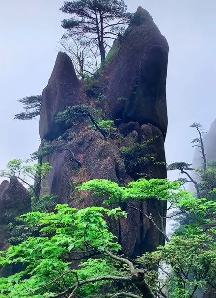 黄山蓬莱三岛图片