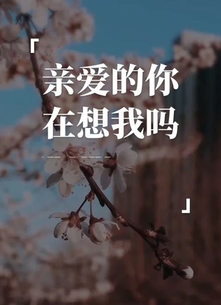 《亲爱的你在想我吗》d2