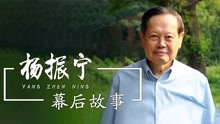 杨振宁百岁寿辰，结婚18年同意让翁帆改嫁，但财产全给前妻子女