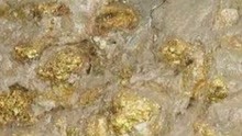 河南发现特大型金矿初步估算获得金储量31.55吨，金矿就在桐柏县