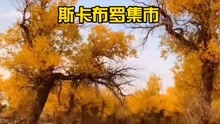 [图]斯卡布罗集市（中文版）