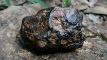 密林中搜寻陨石低爆碎片，寻获精品陨石一枚，真好看！