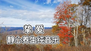 靜心養生純音樂摯愛放鬆身心舒緩壓力安神助眠