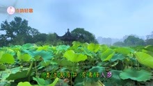 [图]《花雨湖畔》音乐优美动听，活泼欢快，楼台烟雨中 依稀醉人梦