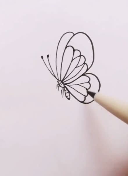 侧面蝴蝶怎么画简单图片