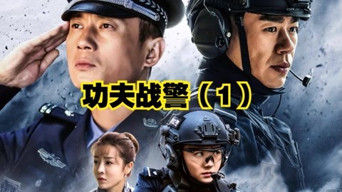 功夫战警:辛小晶去机场接人被警方抓走