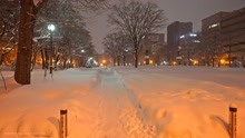 4K HDR __ Walk in Heavy Snowstorm - Sapporo, Hokkaido