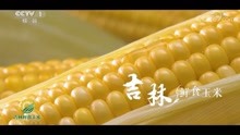 中央台农产品广告展播--吉林大米玉米