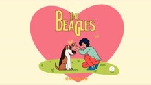 毕设-实验动物保护科普MG动画《The Beagle》