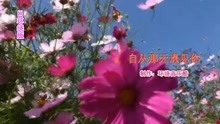 [图]自从那天遇见你（3D环绕版） - 雨中百合.