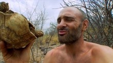 德爷来到非洲的纳米比亚草原，居然在路上捡到一只大乌龟，纪录片