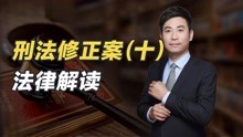 [图]巩志芳律师解读《中华人民共和国刑法修正案（十）》