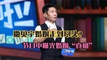 [图]撒贝宁婚姻走到尽头？娶洋妻生龙凤胎，如今婚姻“内幕”曝光