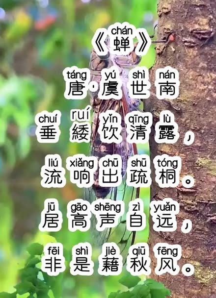 《蝉》唐·虞世南,拼音版,小学生必背古诗词