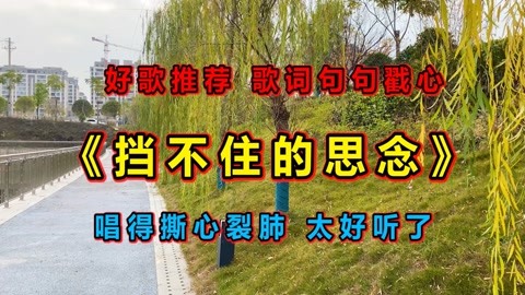 超好聽的情歌《擋不住的思念》唱得深情入心,催人淚下!