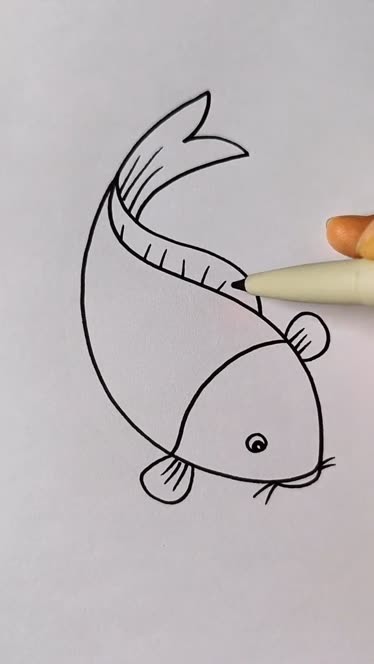 鲤鱼的简笔画 可爱图片