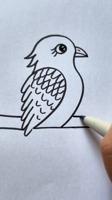 小鸟的简笔画简单图片