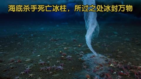 海底杀手死亡冰柱,所过之处冰封万物