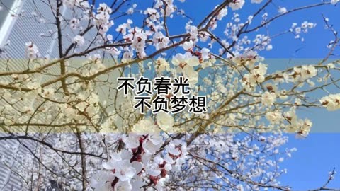 花已开,春已至,不负春光,不负梦想#河南亚临界公司