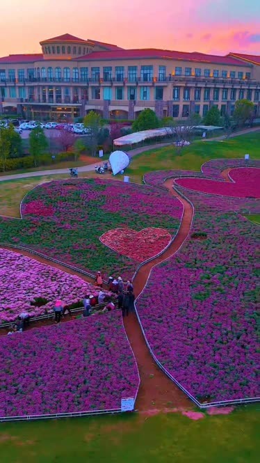 爱情花卉小镇图片