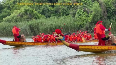 寻美鄂州推荐官 鄂州樊口月河村长港河端午龙舟竞渡 激情四溢