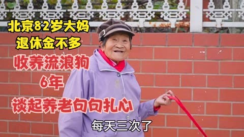 北京82岁大妈三子女退休金不多,收养流浪狗6年,谈养老句句扎心 