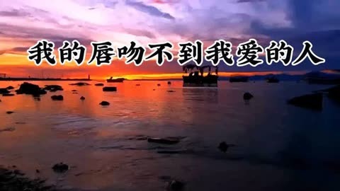 《我的唇吻不到我爱的人》杨澜一 完整版