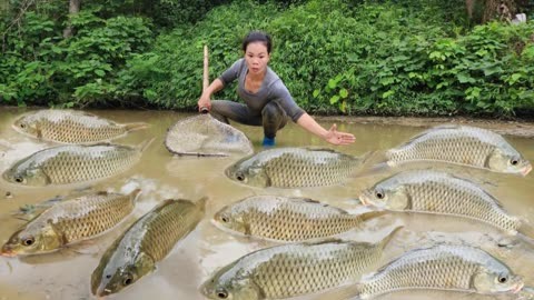 越南女人捞鱼图片